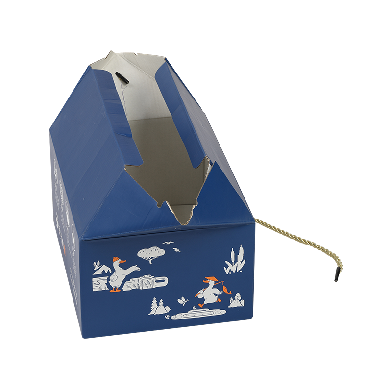 Special Gift Box With Handle