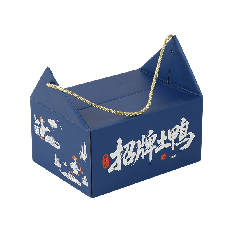 Special Gift Box With Handle