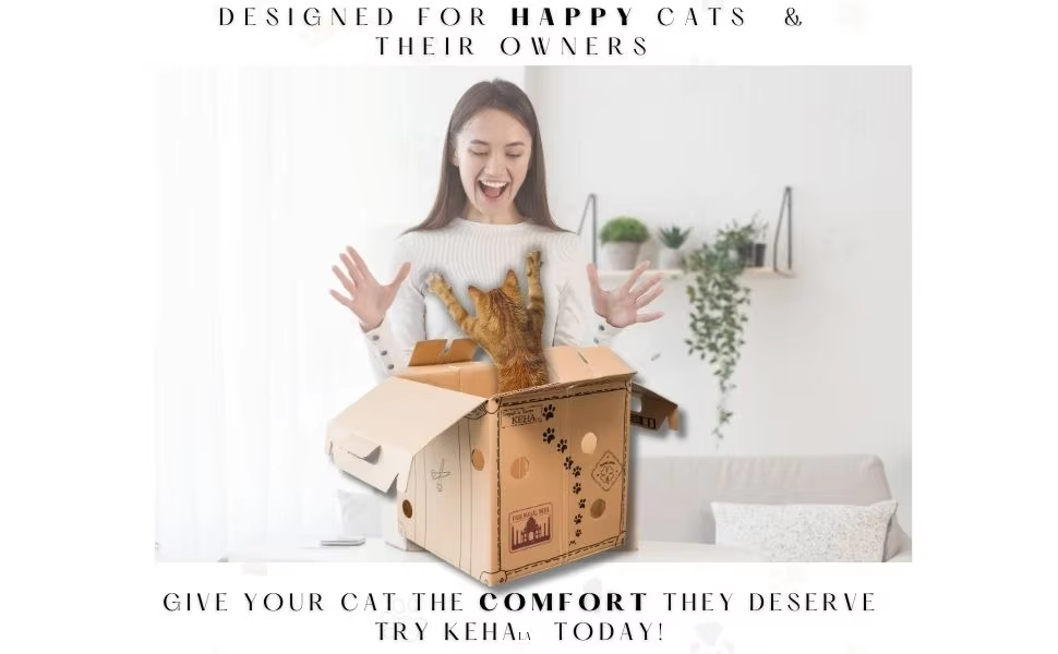 Rustic Cardboard Cat Carrier & House