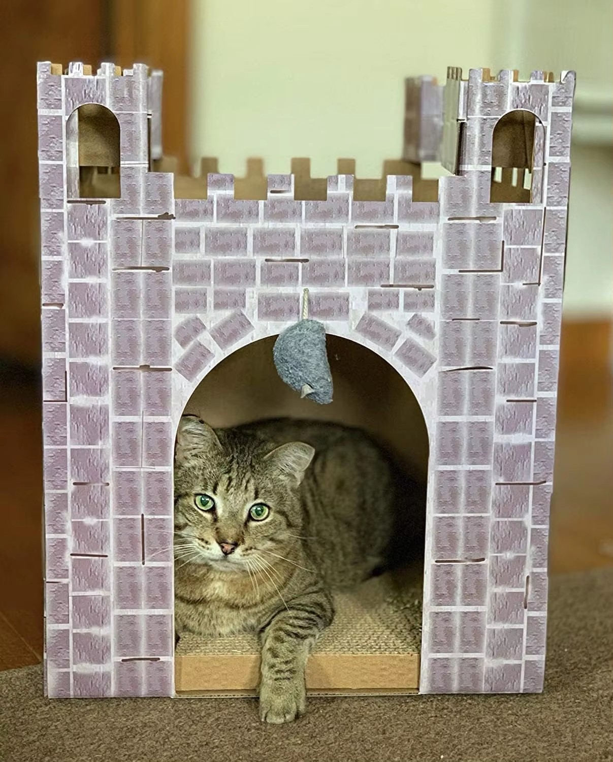 Fairy Tale Stone Castle Cat House