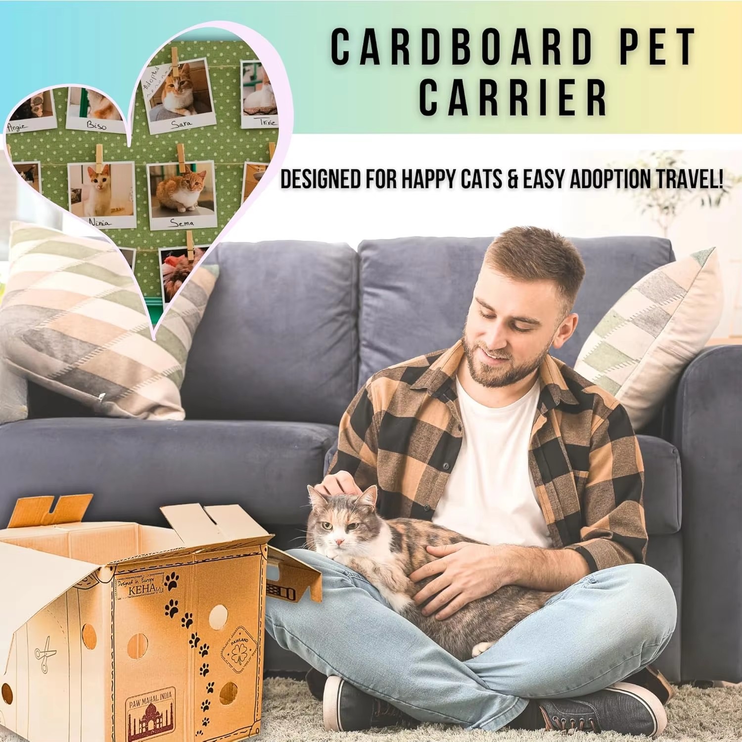 Rustic Cardboard Cat Carrier & House