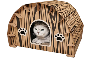 Jiashan People's Printing & Packaging Co., Ltd.