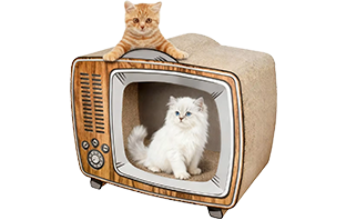 Jiashan People's Printing & Packaging Co., Ltd.