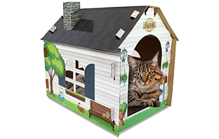 Jiashan People's Printing & Packaging Co., Ltd.