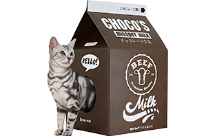 Jiashan People's Printing & Packaging Co., Ltd.