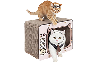 Jiashan People's Printing & Packaging Co., Ltd.