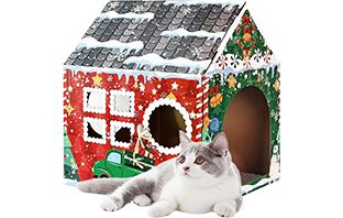 Jiashan People's Printing & Packaging Co., Ltd.