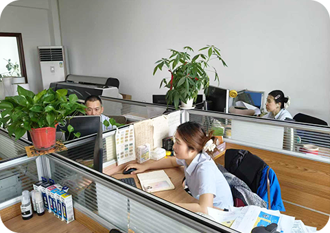 Jiashan People's Printing & Packaging Co., Ltd.